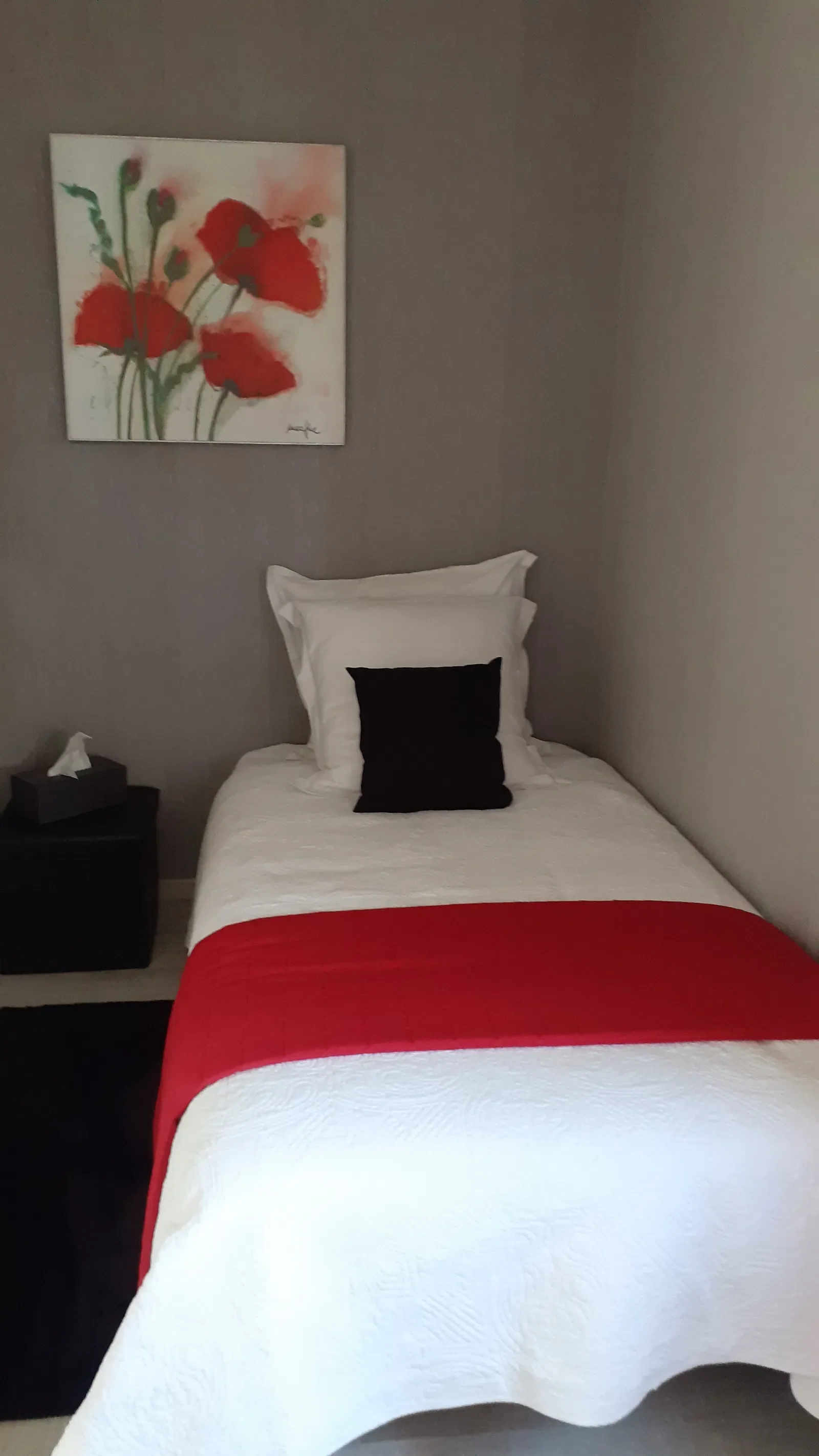 Room Rue de Ballon in Sargé-lès-le-Mans