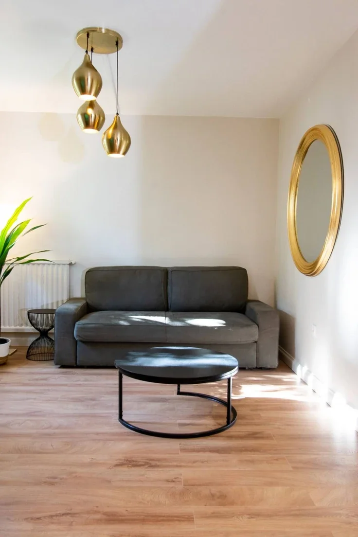 Flat Rue Frédéric Fays in Villeurbanne