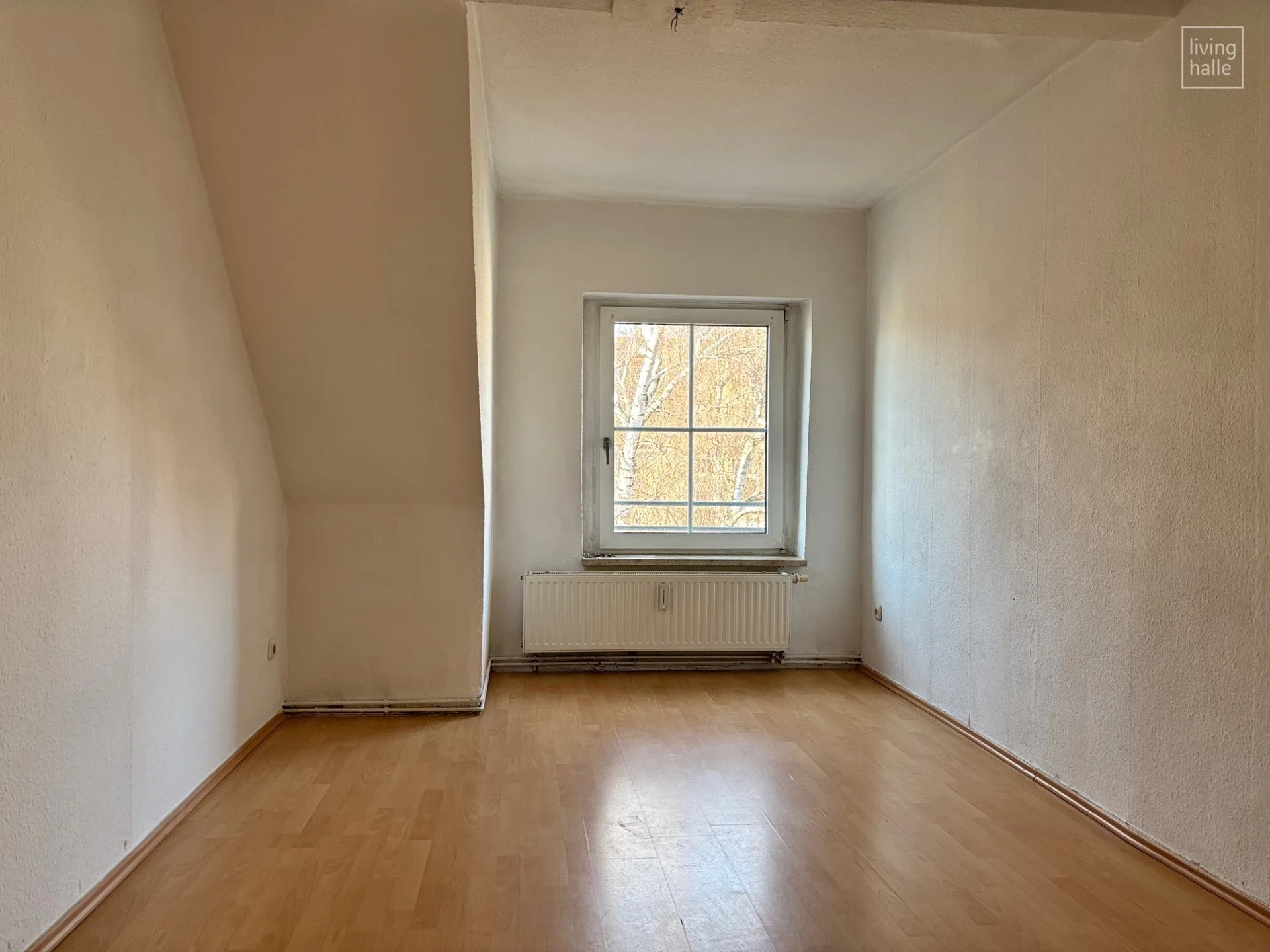 Wohnung Wittestraße in Halle (Saale)