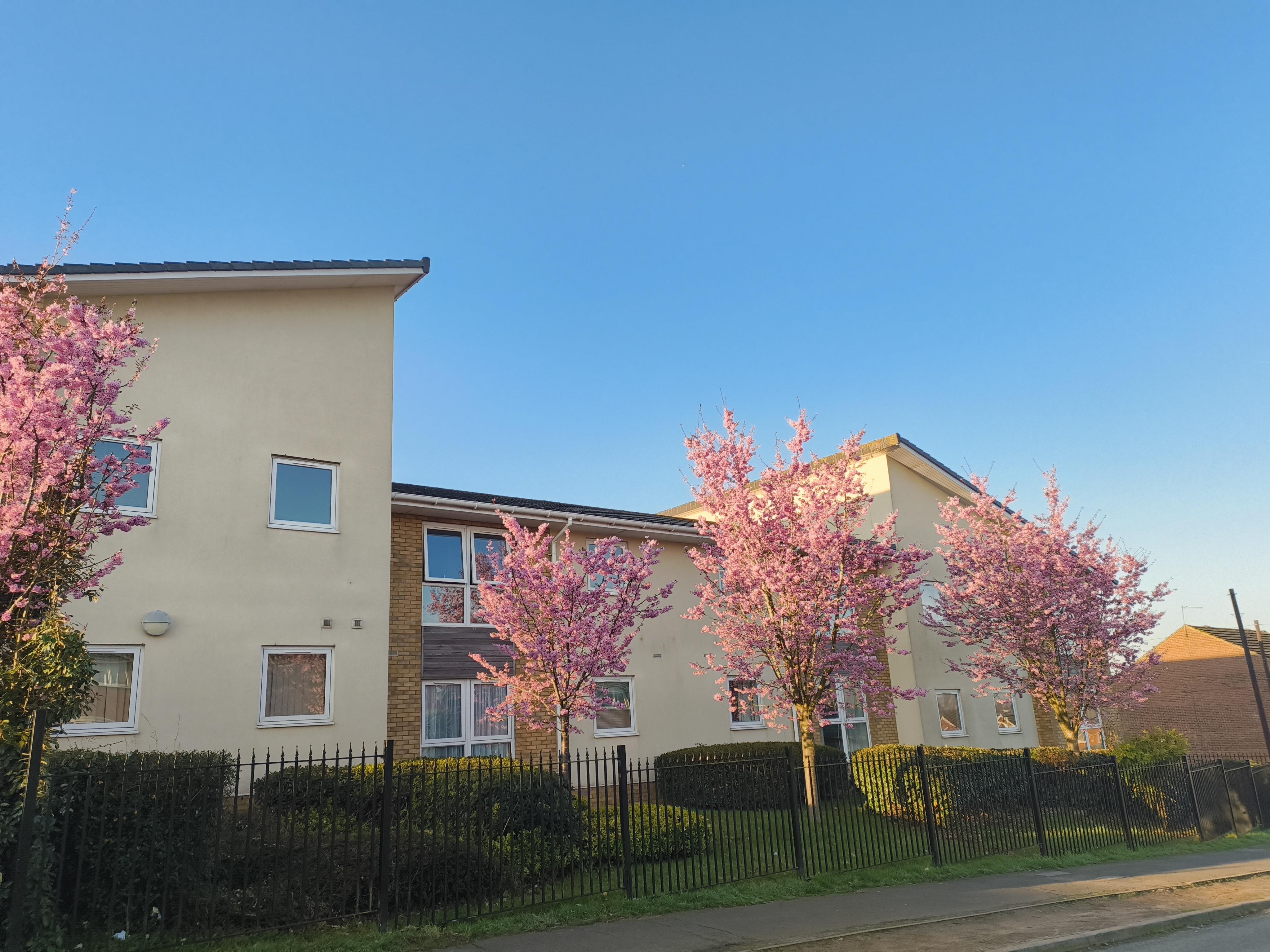 Flat French Drive in Kettering