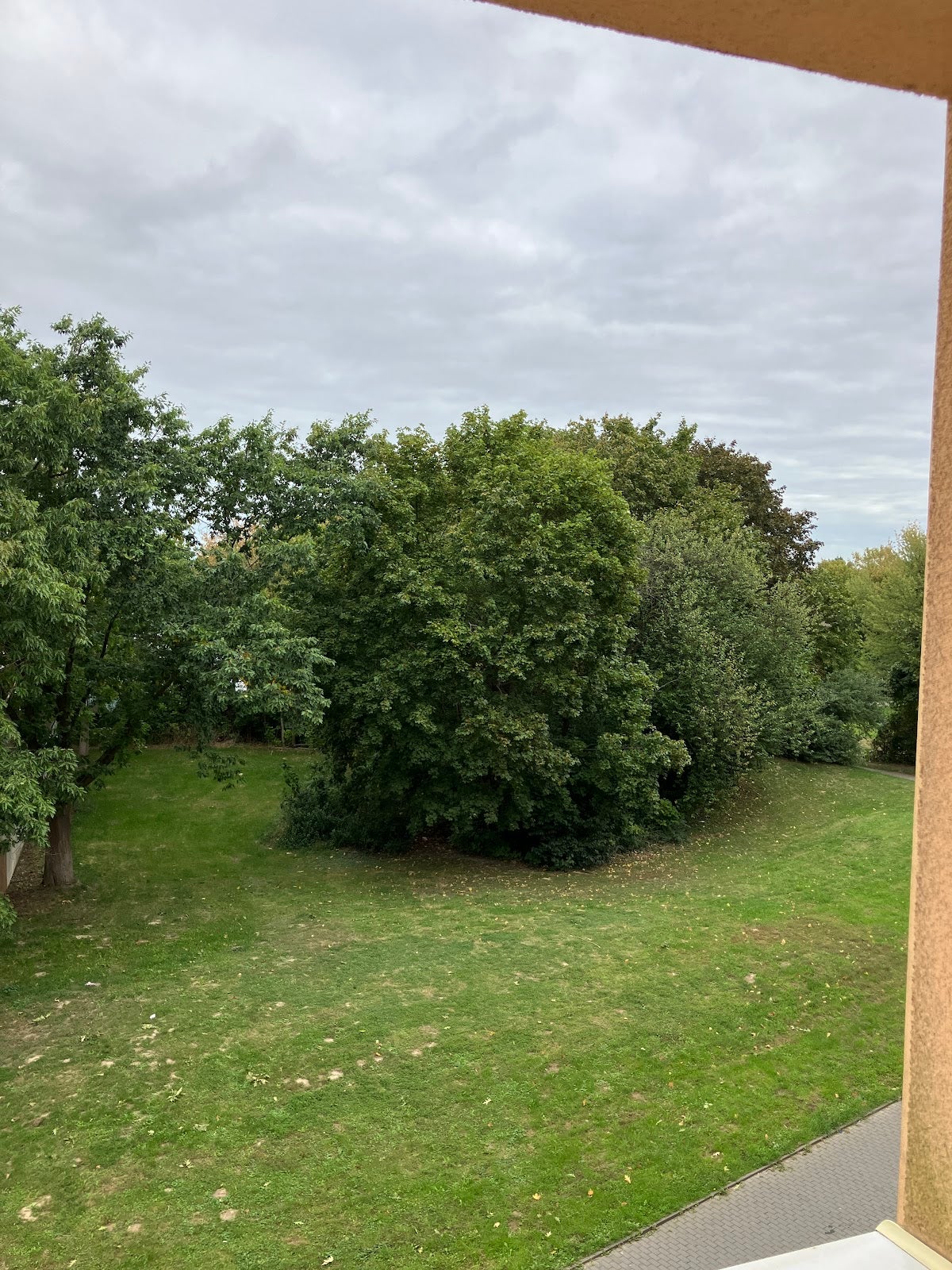 Wohnung Hans-Böckler-Ring in Salzgitter