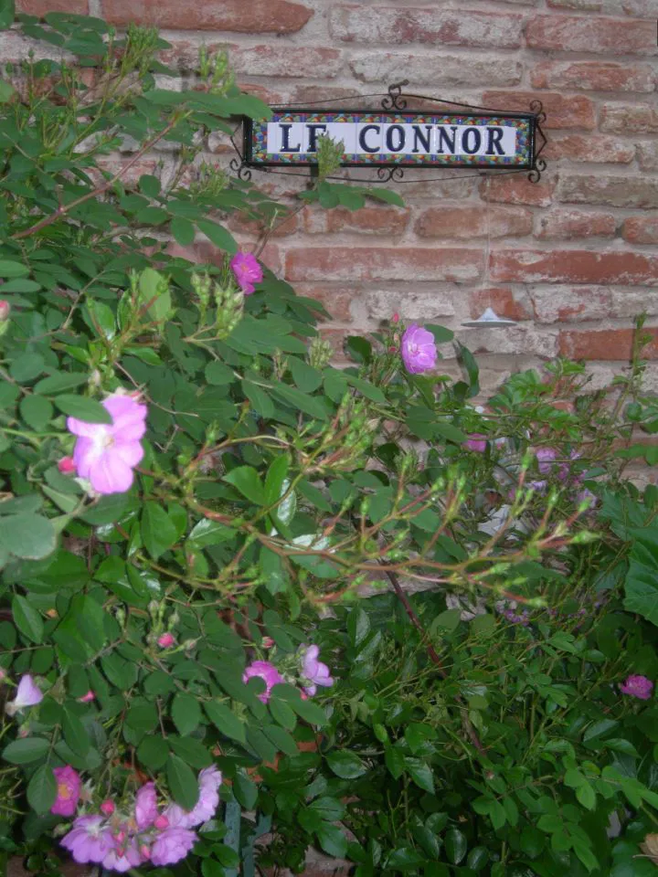 Chambre Rond-Point de la Colombe à Ramonville-Saint-Agne