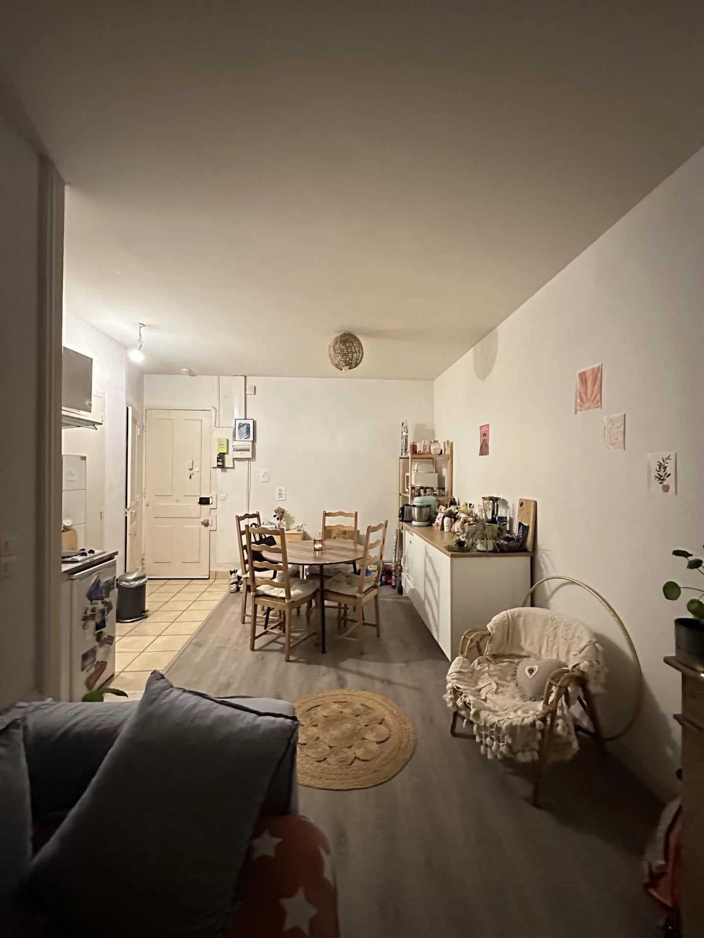 Appartement Rue Chevreul à Lyon