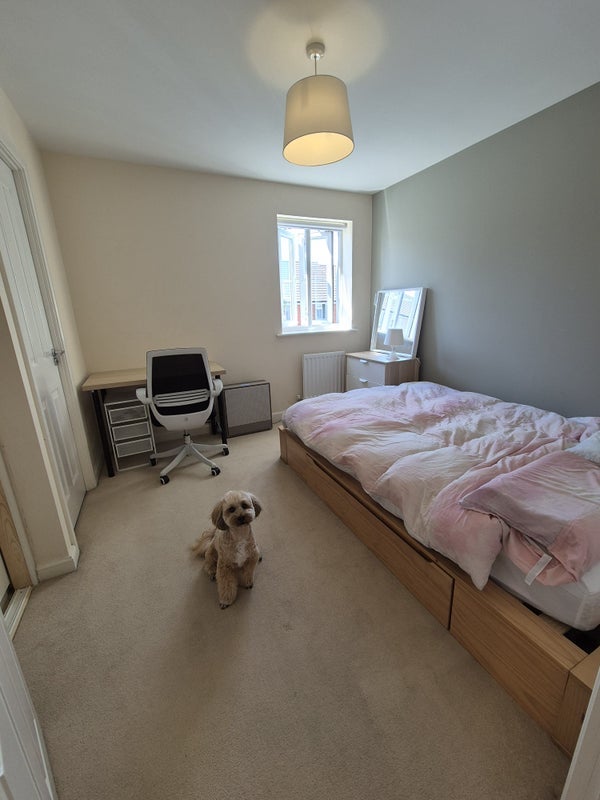 Room Dorian Road in Bristol