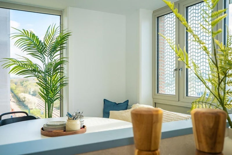 Room Sparrowbill Way in Bristol