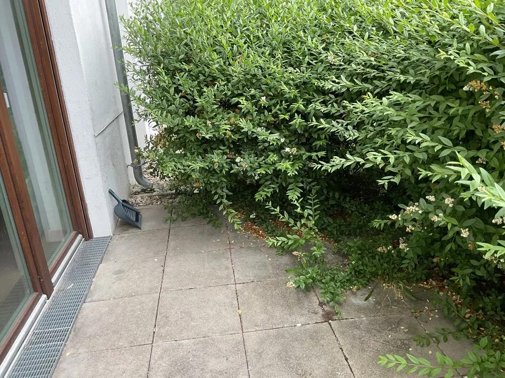 Wohnung Mertensstraße in Berlin