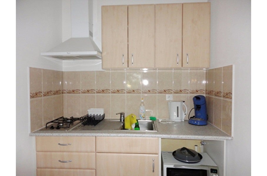 Flat Rue des Vignes in Barr