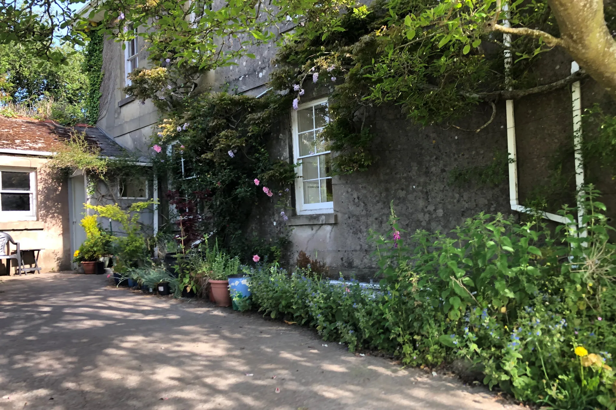 Flat Newton Road in South Hams