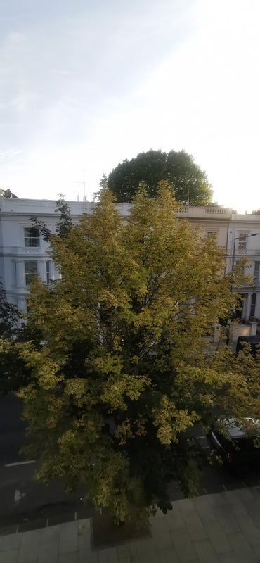 Room Holland Road in Greater London