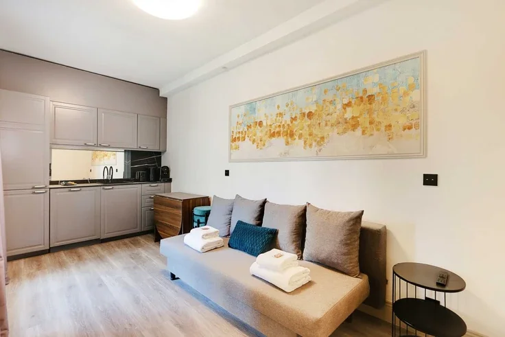 Flat Rue de Charonne in Paris