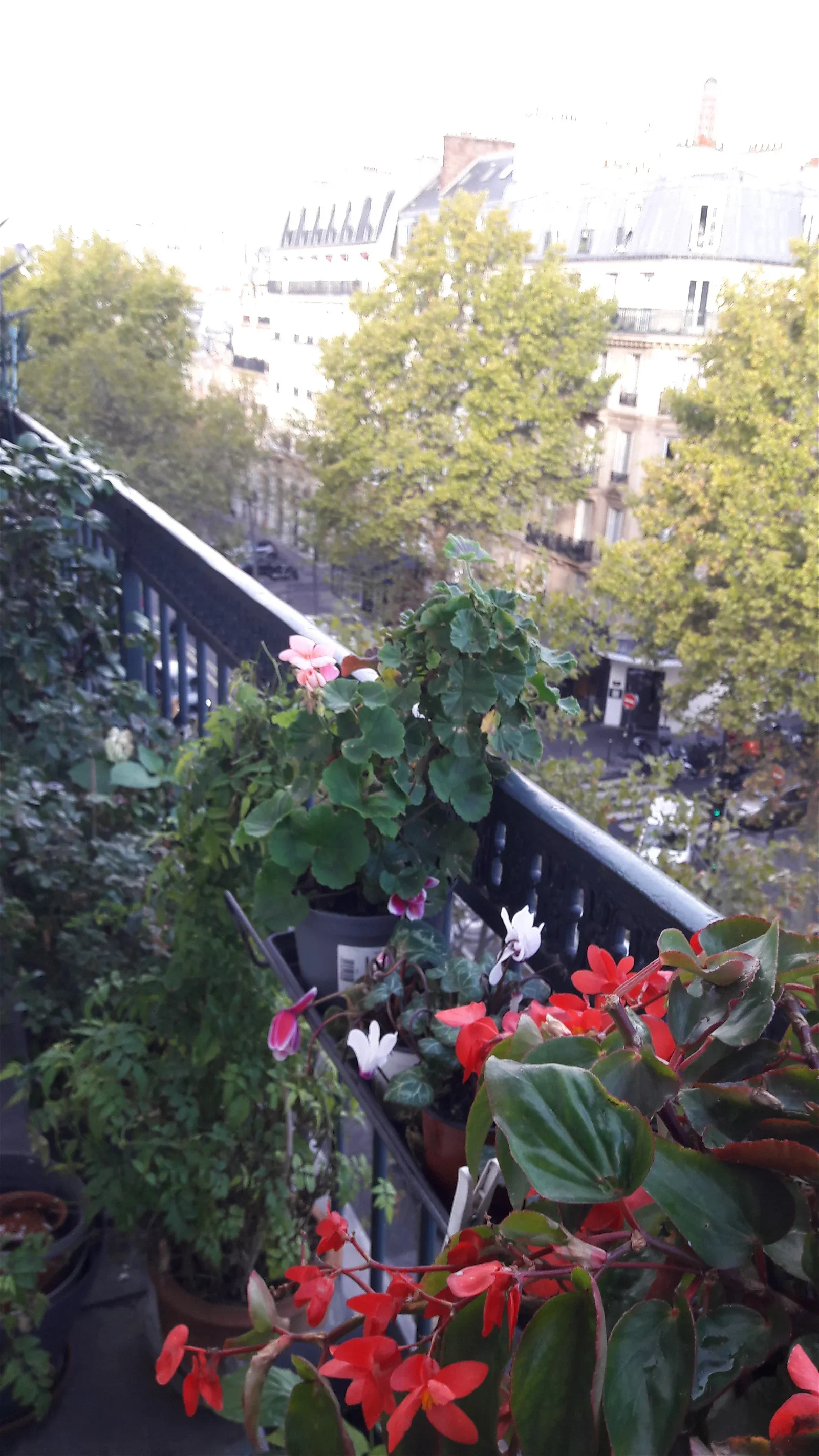Room Boulevard Pereire in Paris