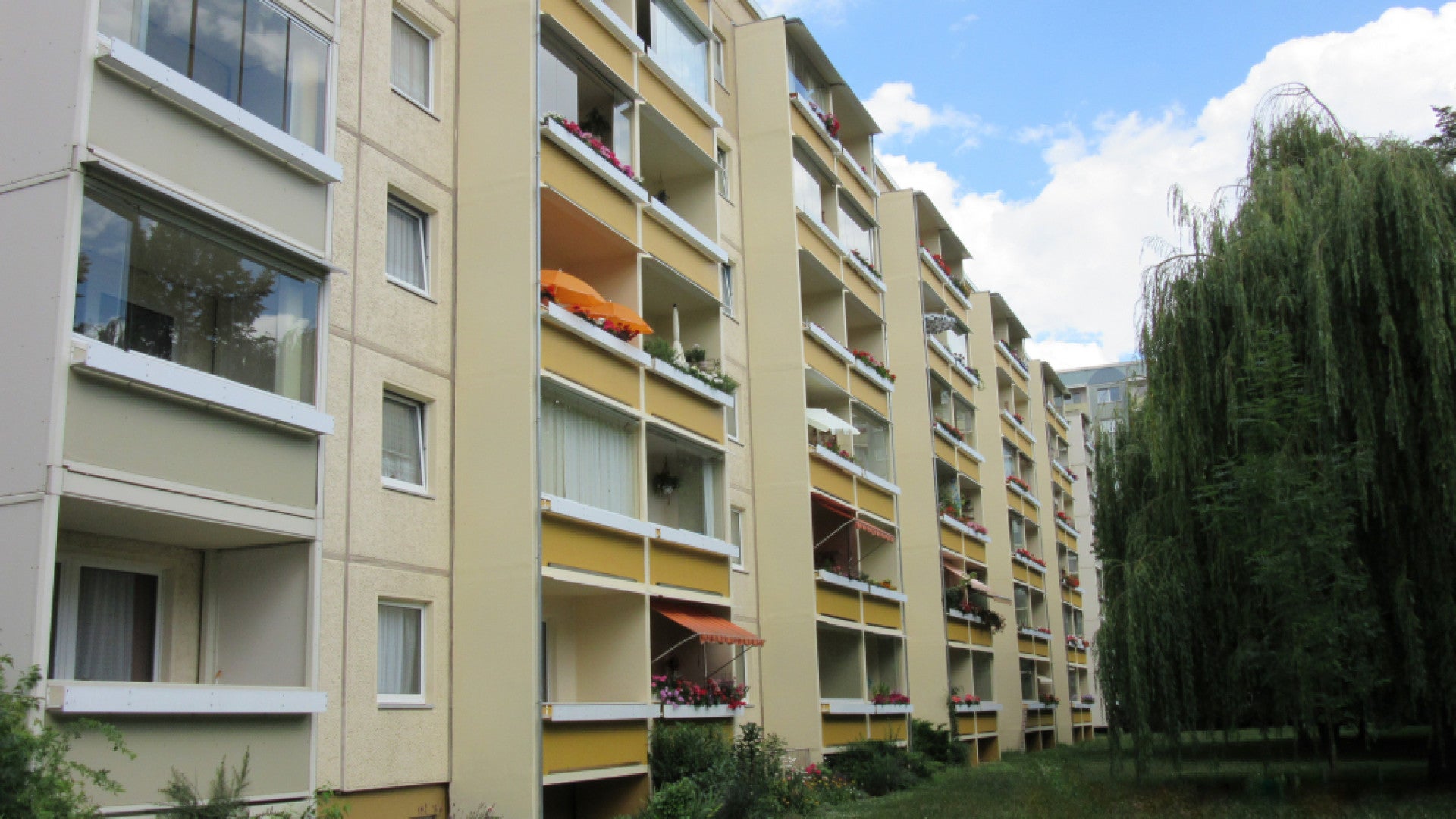 Wohnung Platanenstraße in Gera