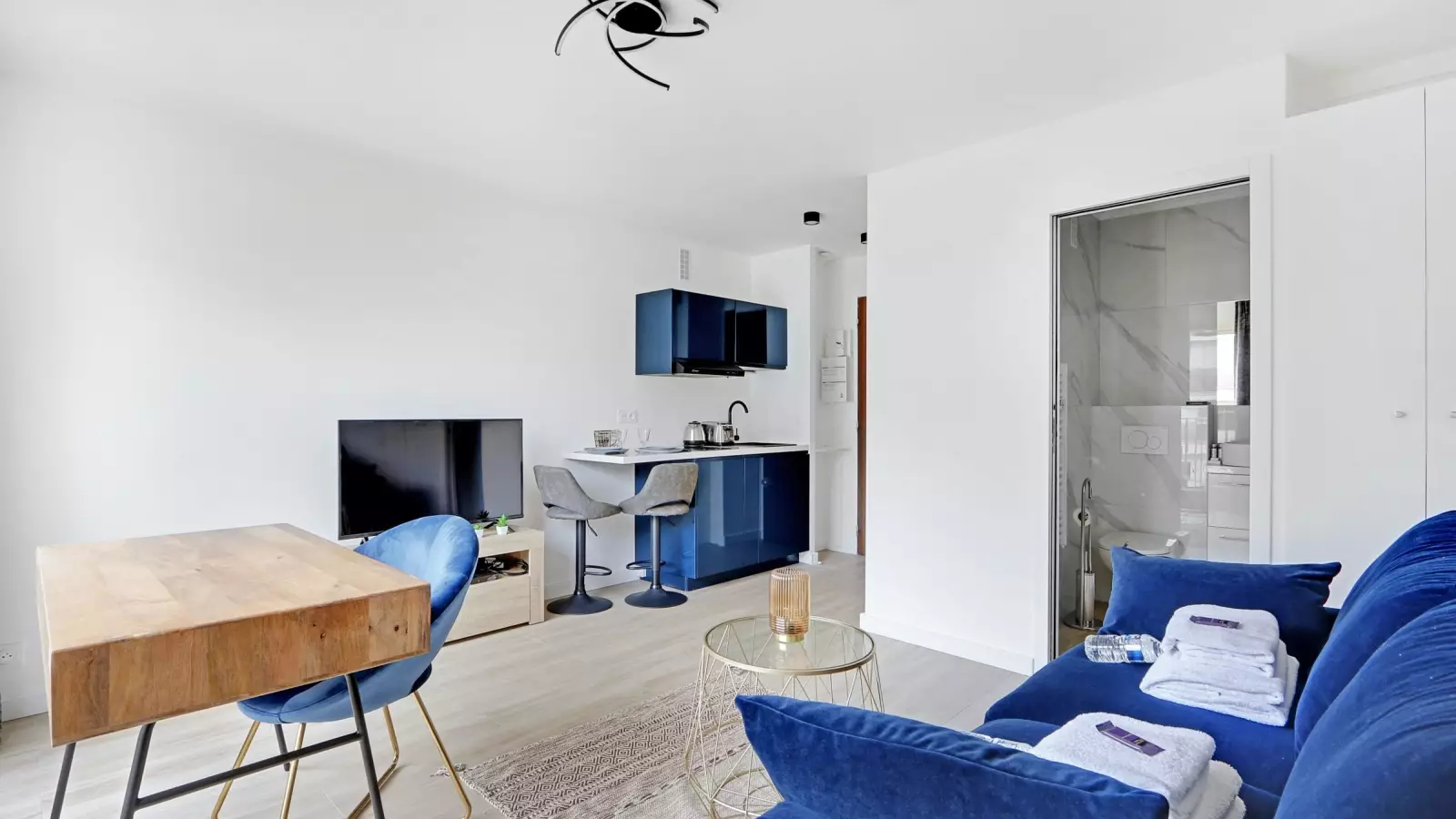 Flat Rue Dufrénoy in Paris