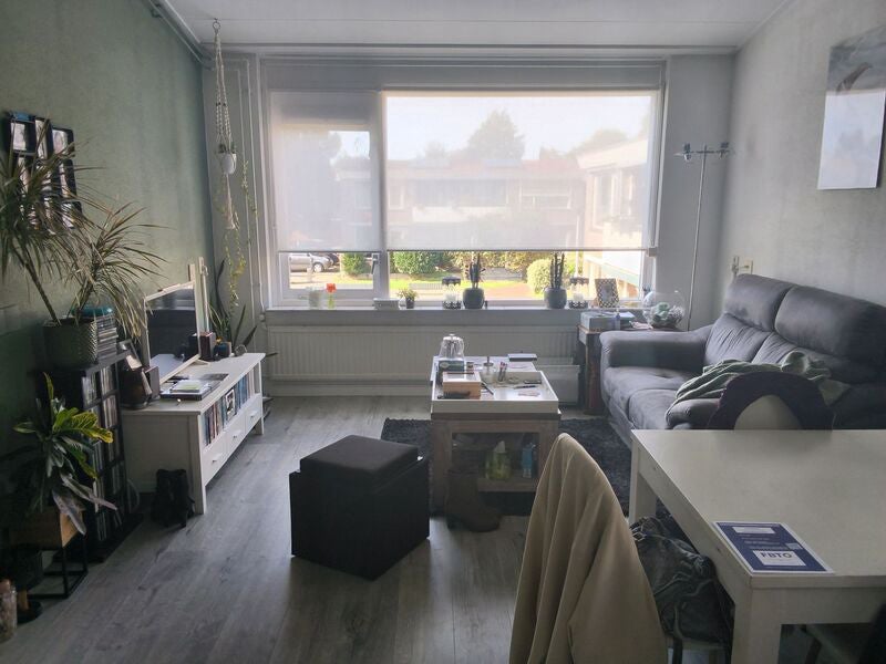 Appartement Maartensheem in Hillegom