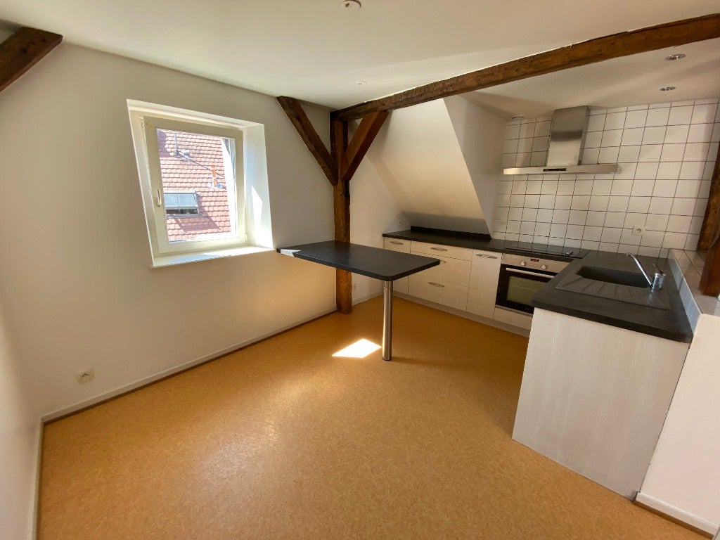 Flat Rue Golbéry in Colmar