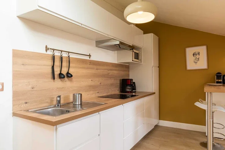 Appartement Rue Salomon Reinach à Lyon