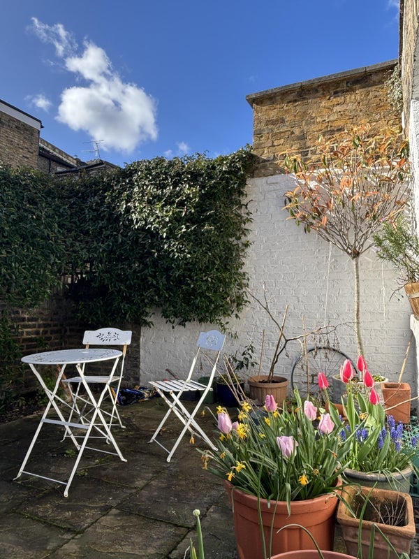 Room Bradiston Road in City of Westminster