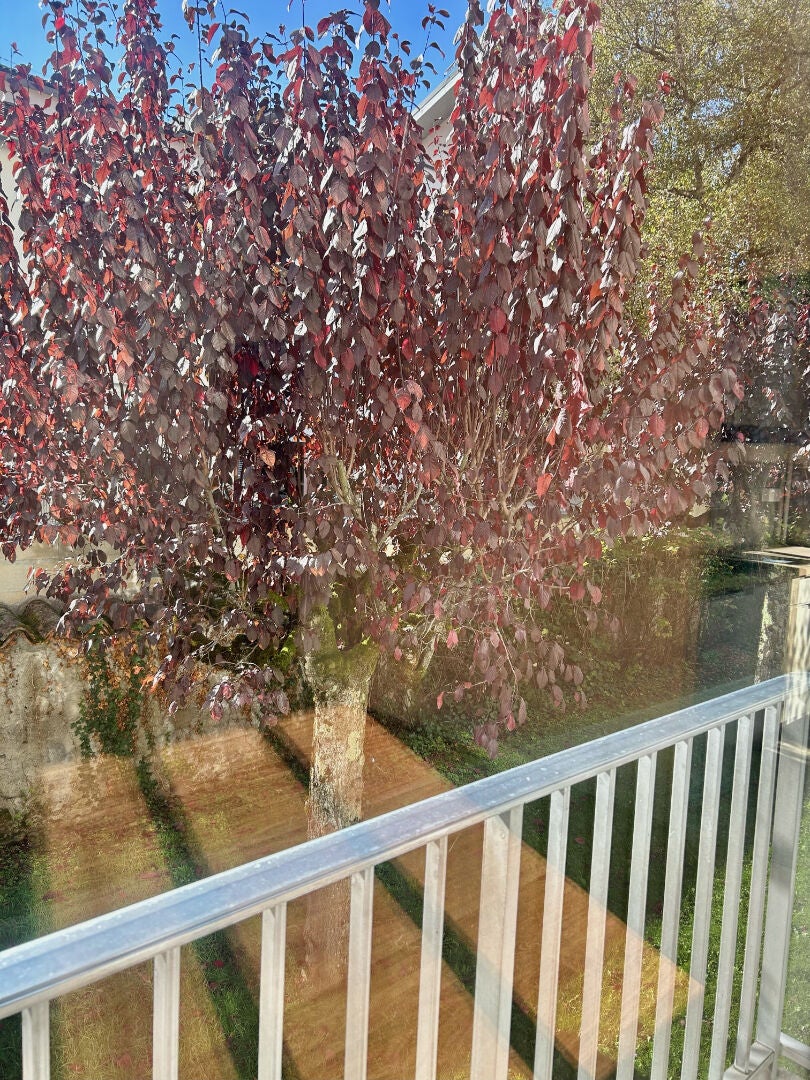 Appartement C 133 à Aurillac