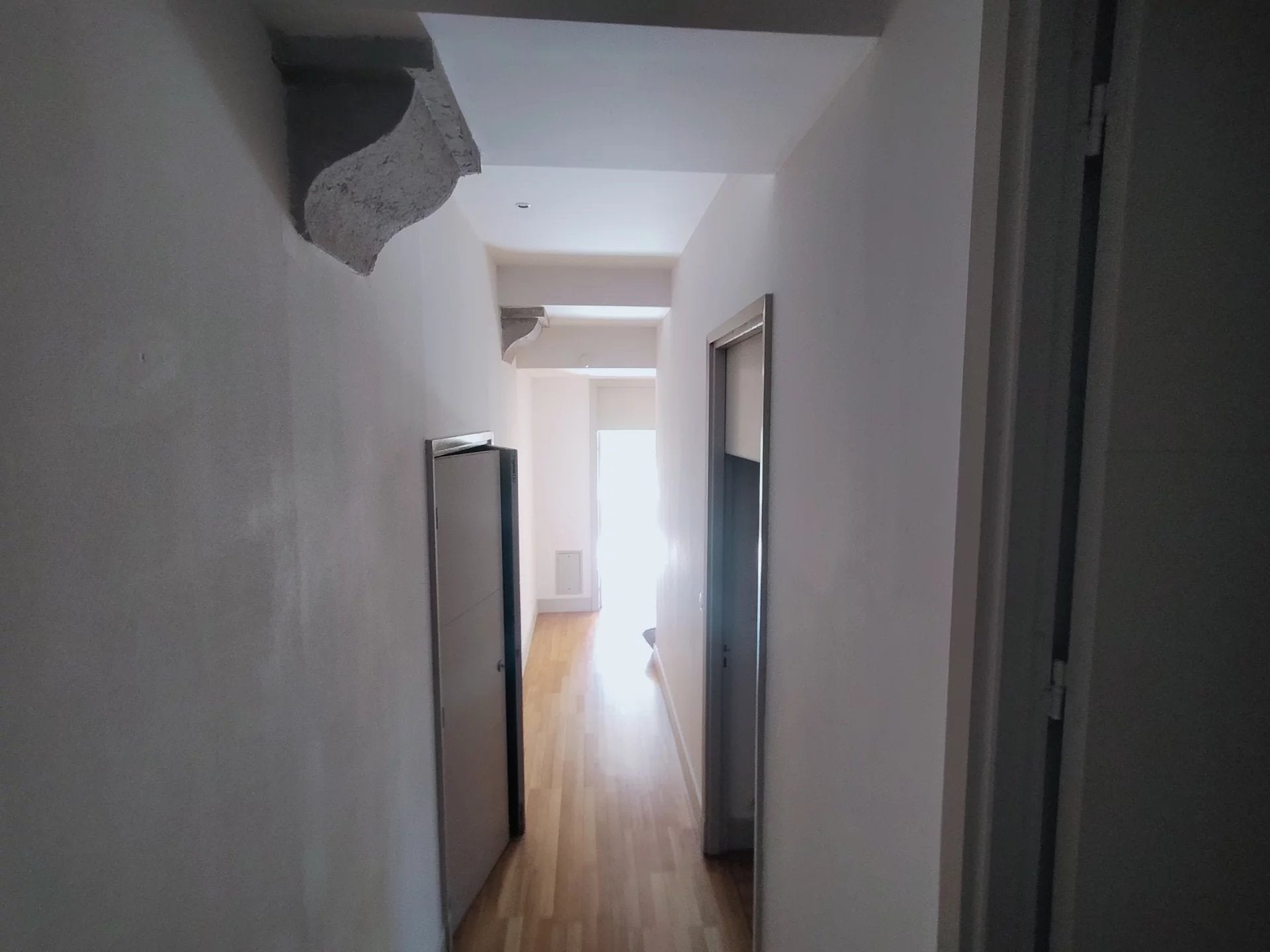 Flat Rue Docteur Edmond Locard in Lyon
