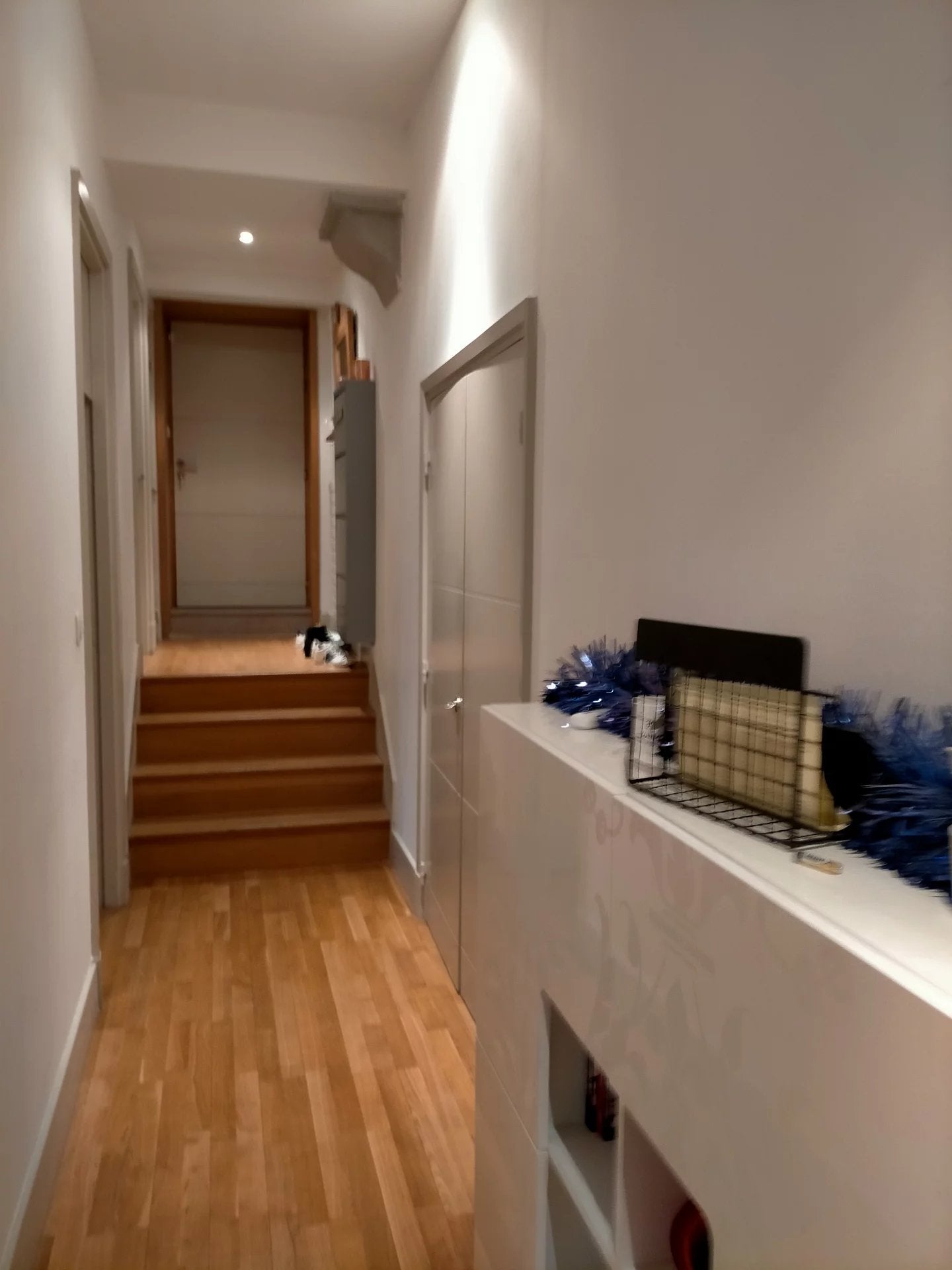 Appartement Rue Docteur Edmond Locard à Lyon