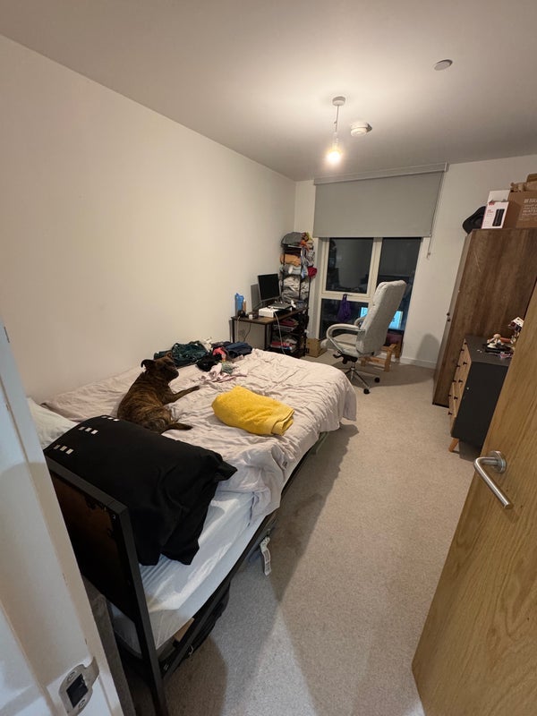 Flat Eaton Walk in Greater London