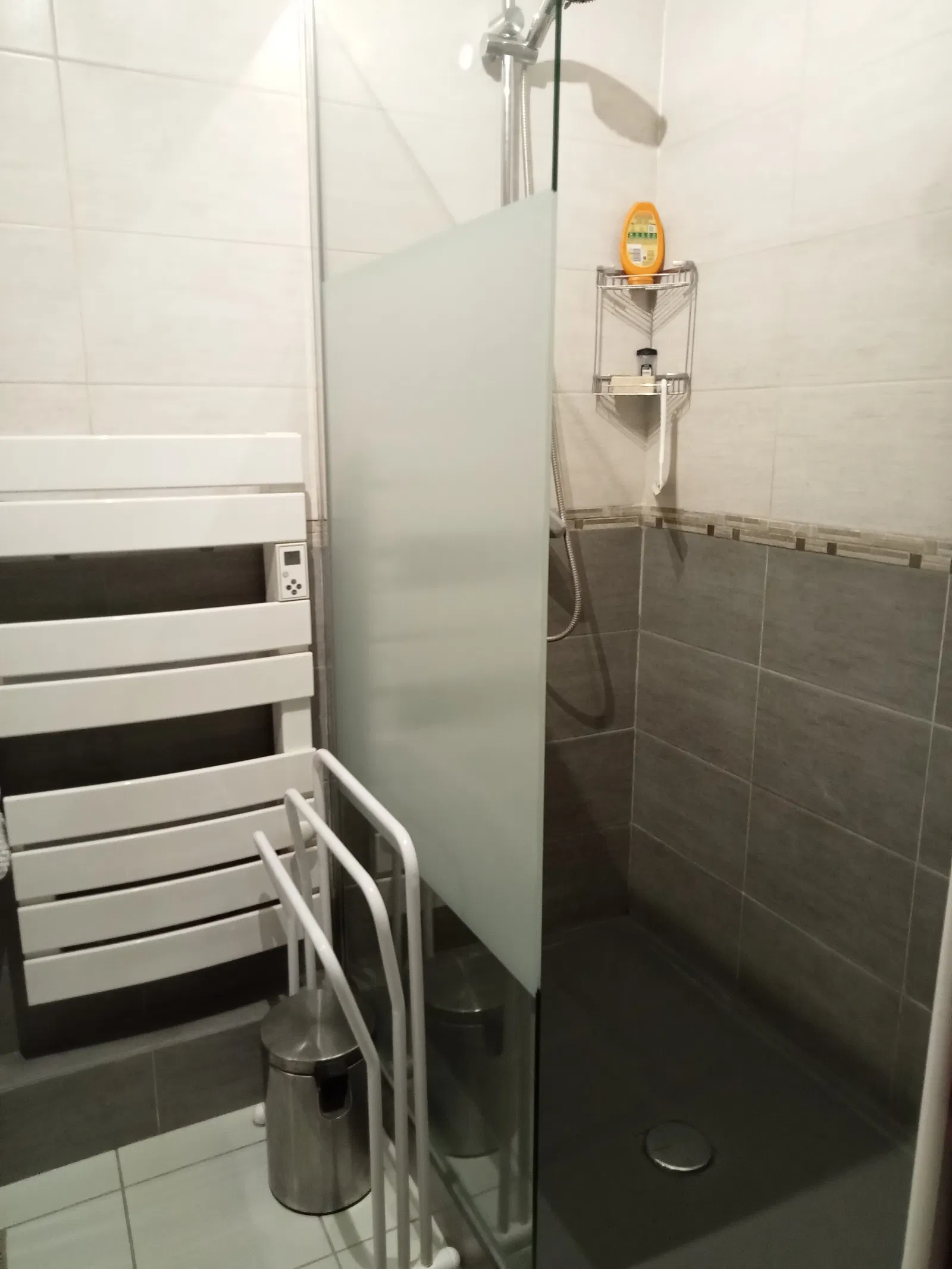 Room Rue de Fontanières in Villeurbanne