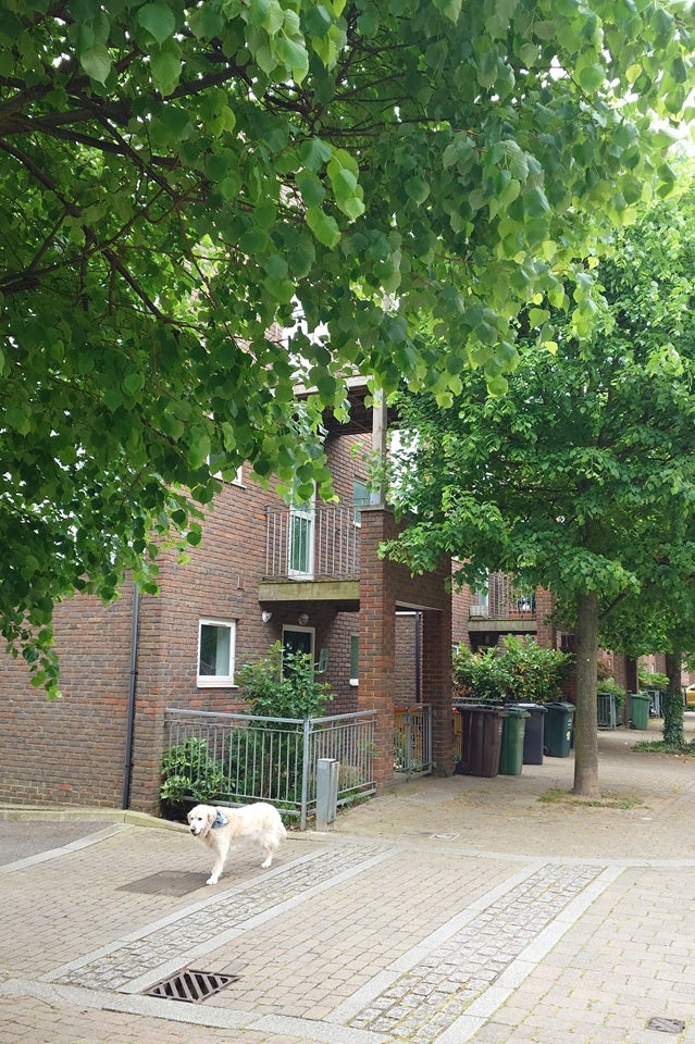 House Portland Place in Dartford