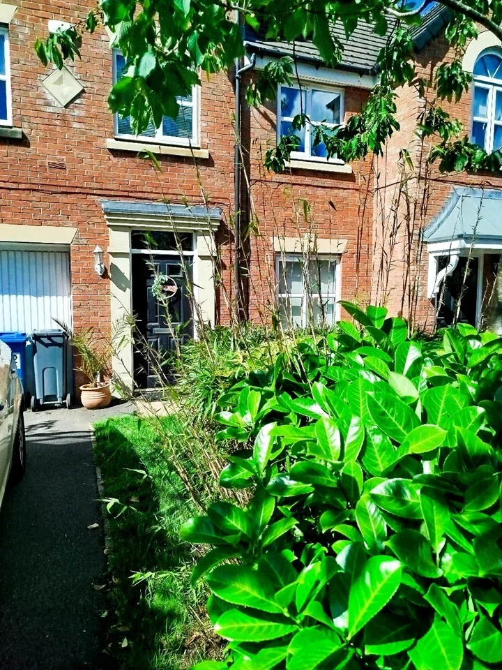 House Lawnhurst Avenue in Manchester