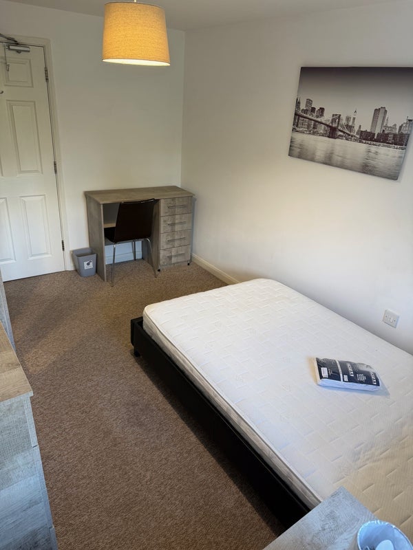 Room Horton Drive in Stafford