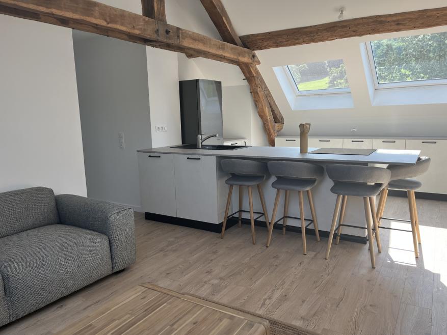 Appartement Boulevard Édouard Rey à Grenoble