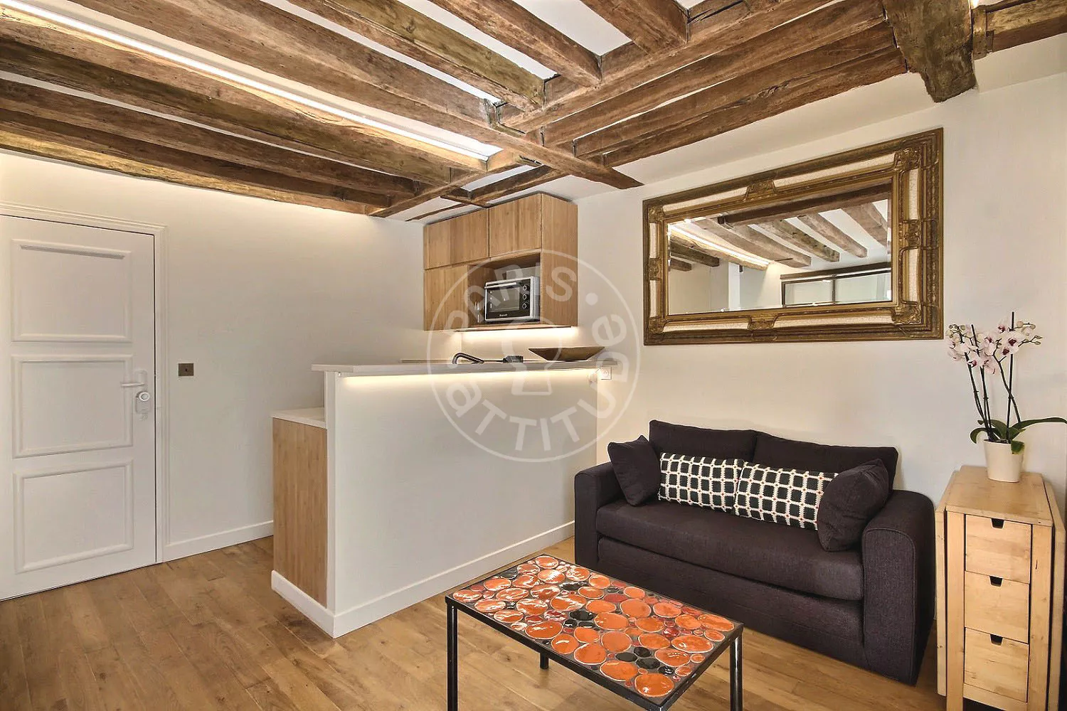 Flat Rue des Poissonniers in Paris