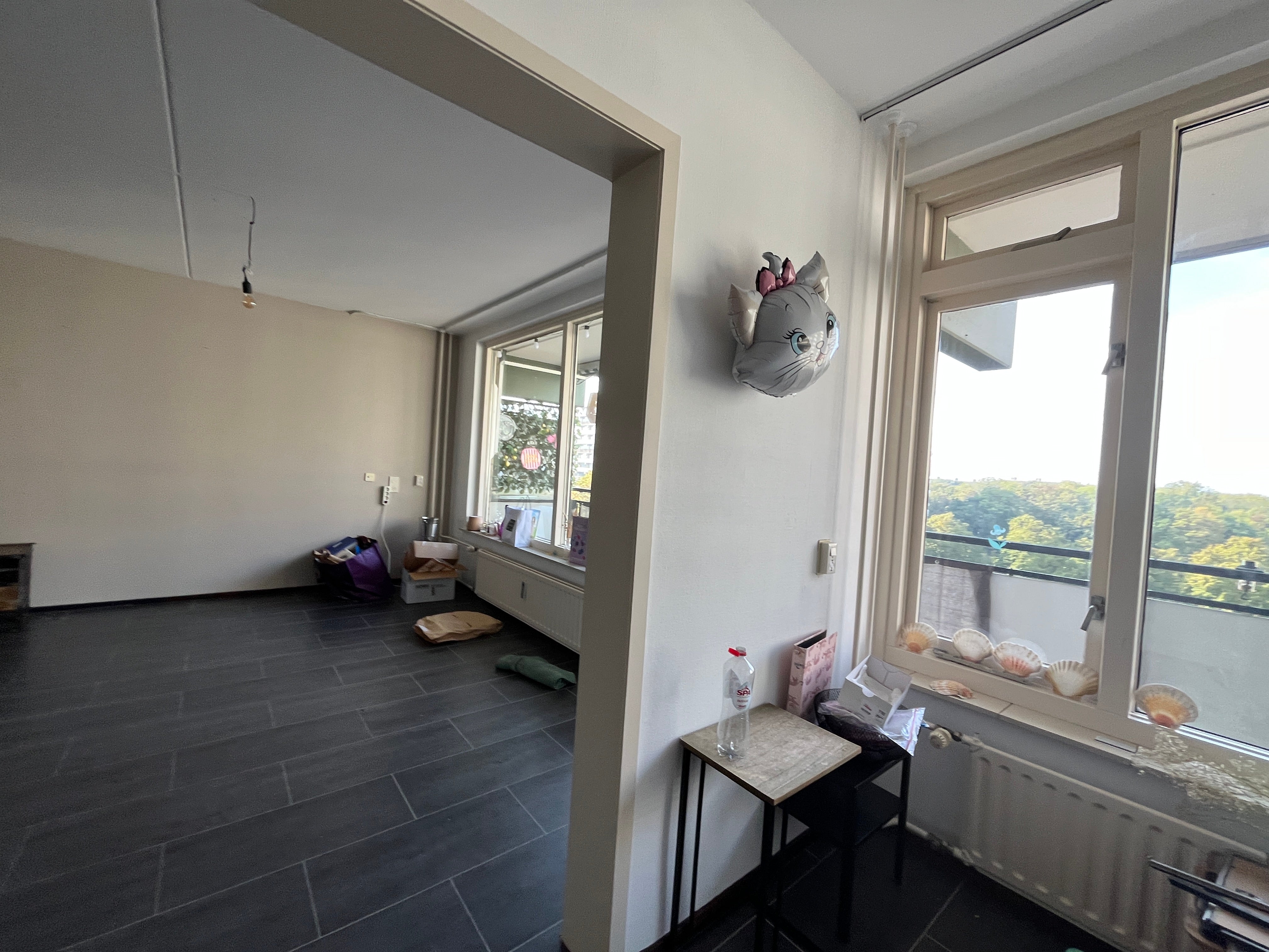 Appartement te huur: Steenvoordelaan 46, Rijswijk