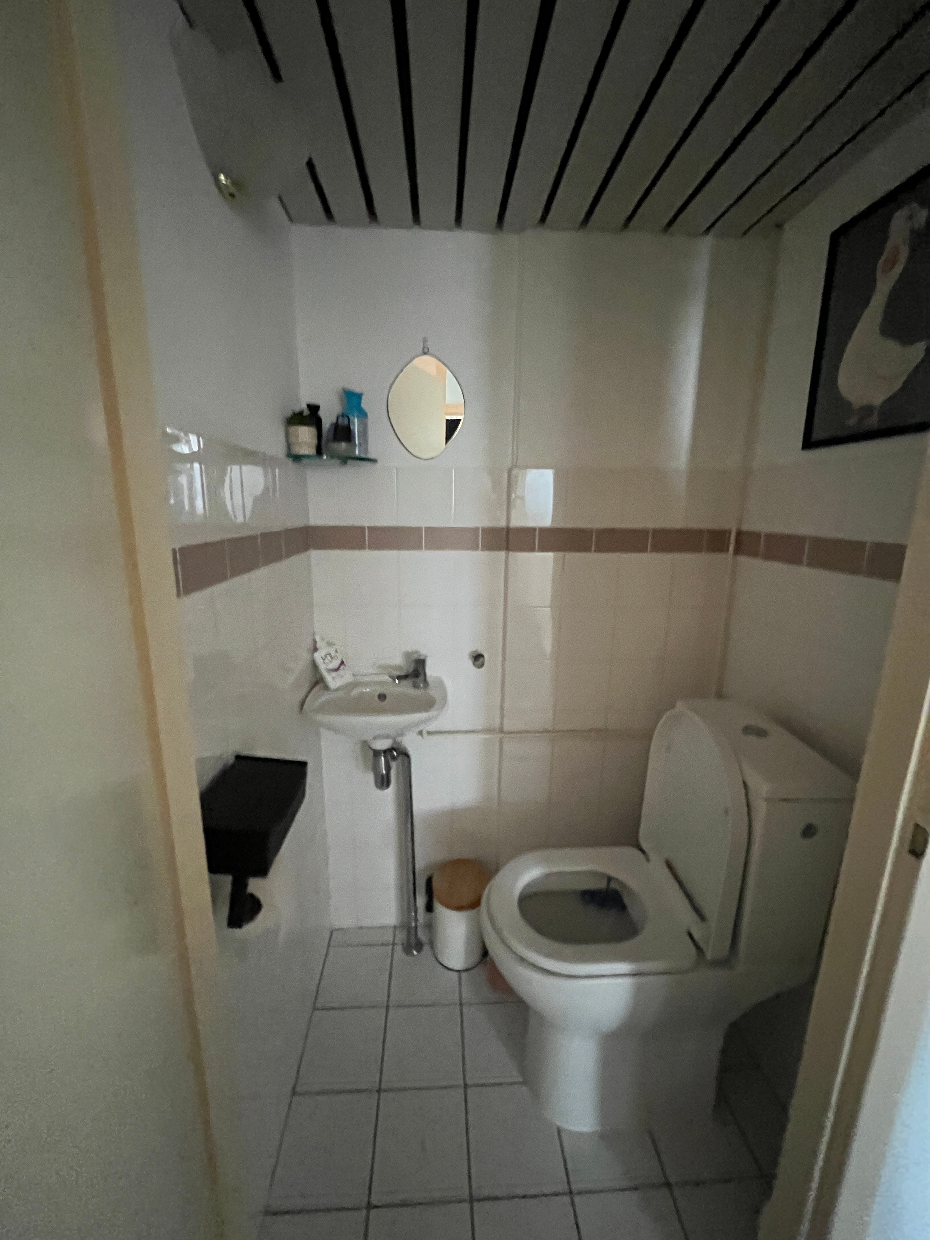 Appartement te huur: Steenvoordelaan 46, Rijswijk