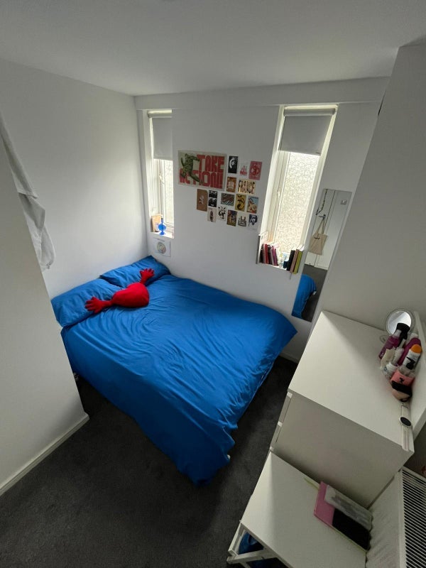 Room Mina Road in Greater London