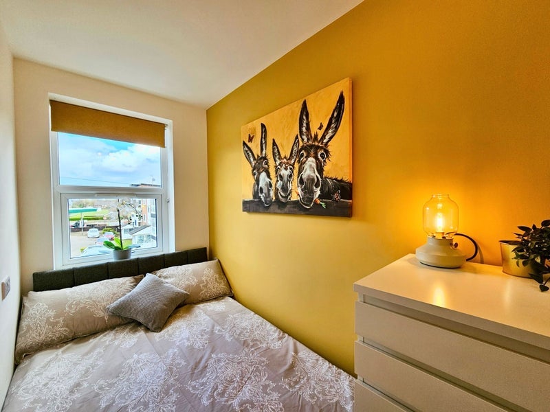 Room Lily Hill Street in Whitefield