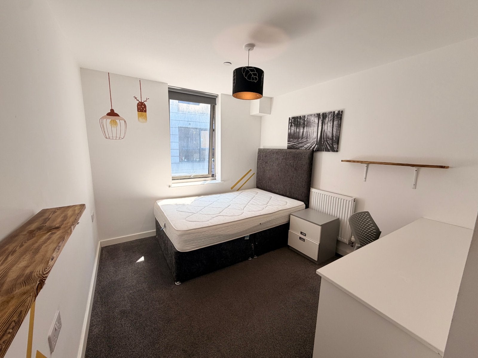 Room Sudbury Street in Sheffield