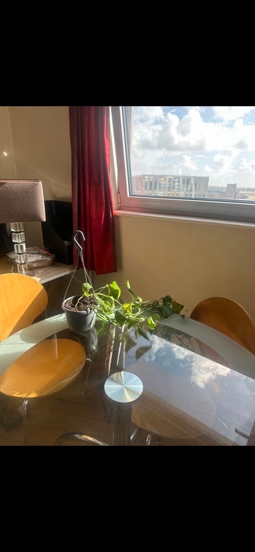 Room Bute Terrace in Cardiff