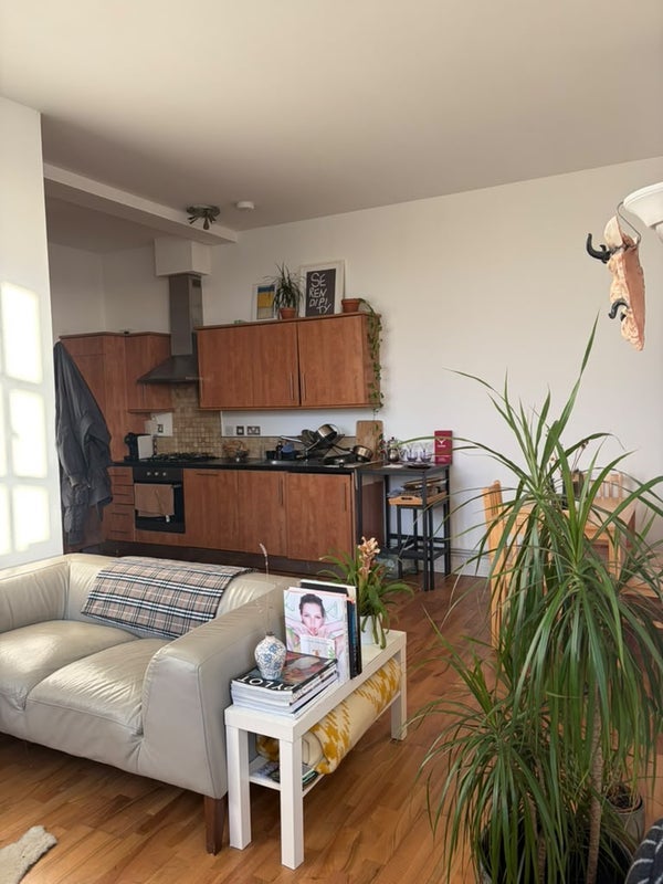 Room Shacklewell Row in Greater London