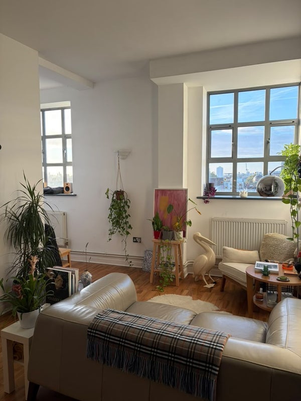 Room Shacklewell Row in Greater London