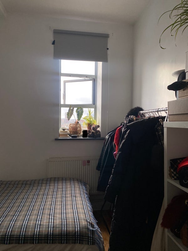 Room Shacklewell Row in Greater London