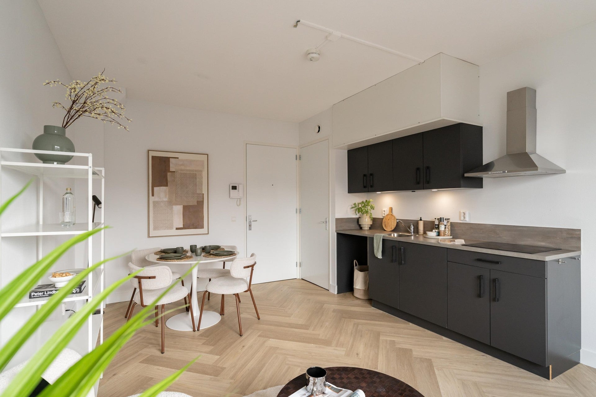 Appartement Nieuweweg 75 C in Hoofddorp