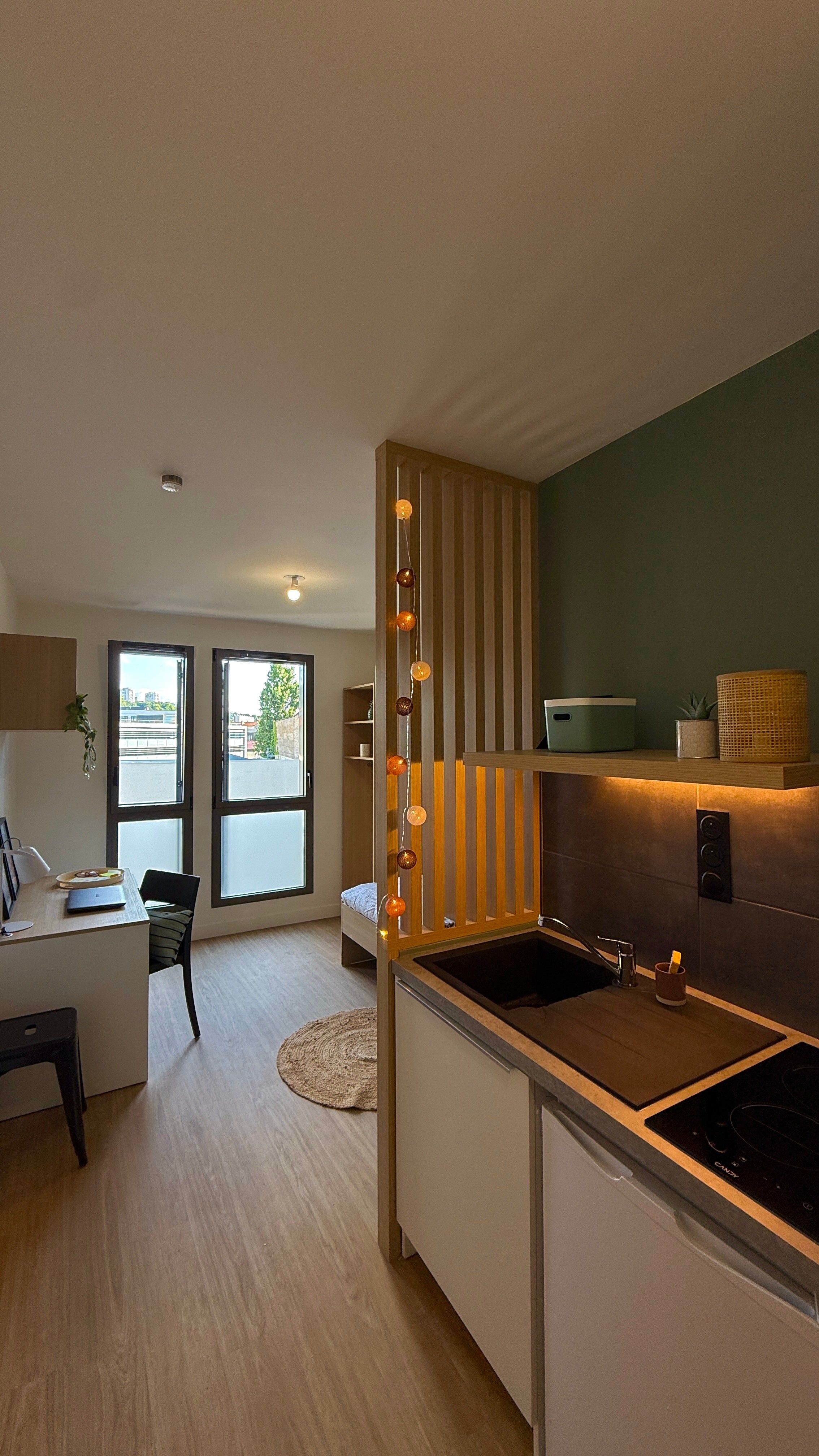 Appartement Montée des Roches à Écully
