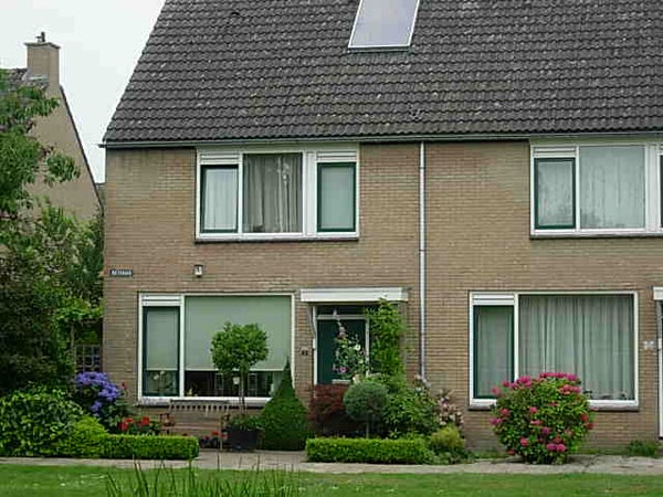 Rietkraag