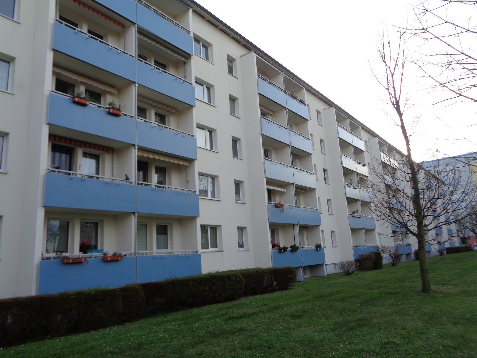 Wohnung Kreyssigstraße in Brandenburg an der Havel