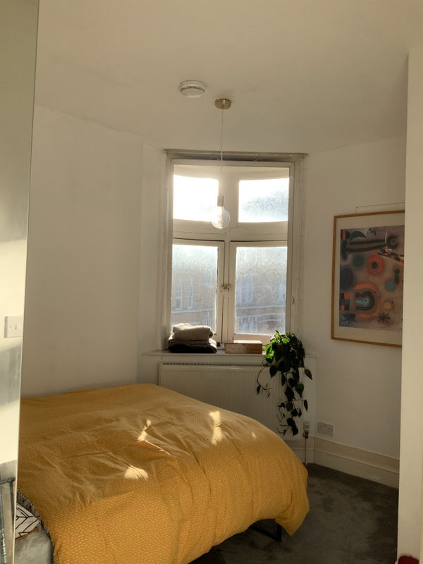 Room Foley Street in City of Westminster