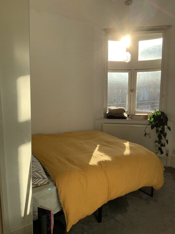 Room Foley Street in City of Westminster