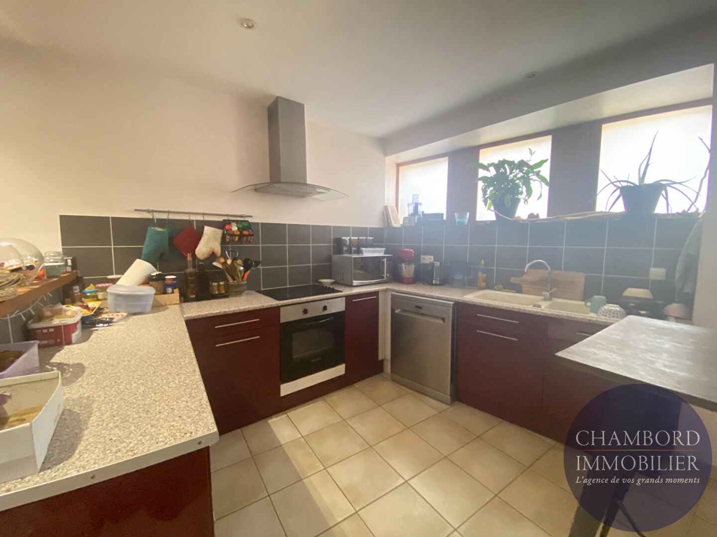 House Chemin les Aulnaies in Le Controis-en-Sologne
