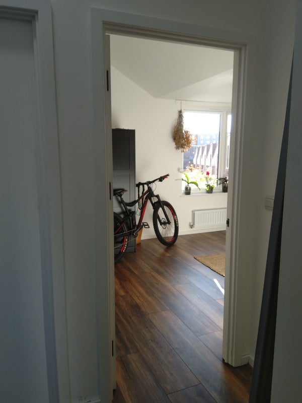 Room Frise Street in Bristol