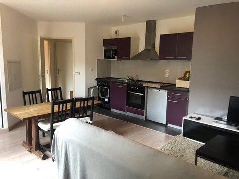 Flat Rue du Pont Guilhemery in Toulouse