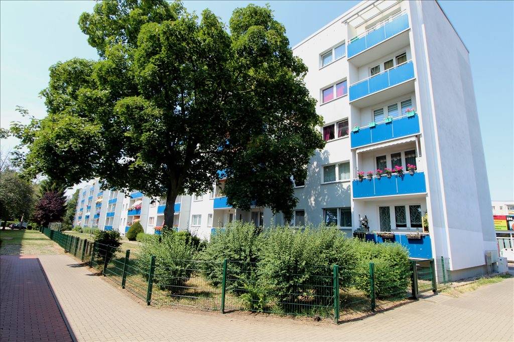 Wohnung Semmelweisstraße in Magdeburg